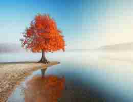 如​何‌优‌化﻿dns配‌置﻿